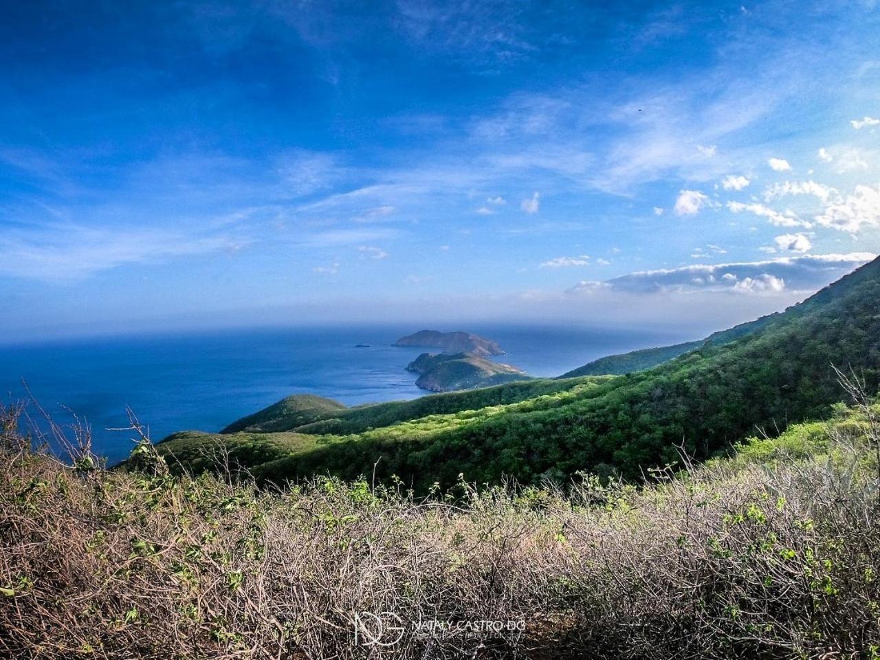 Ocean Lovers Hostel & Apartments Таганга Екстер'єр фото